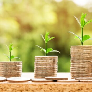 memilih salah satu jenis investasi jangka panjang adalah langkah atur keuangan di rumah yang terbaik