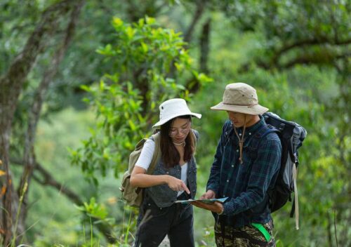 Baluran National Park Banyuwangi