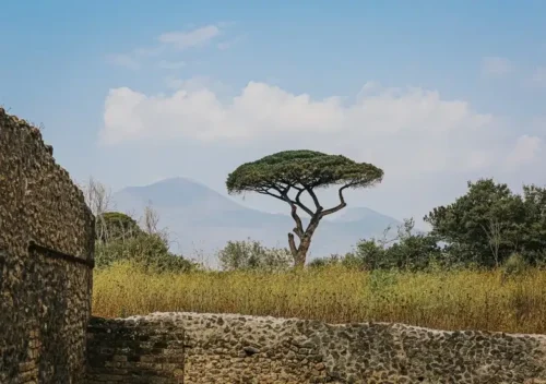 Tempat Wisata di Madagaskar