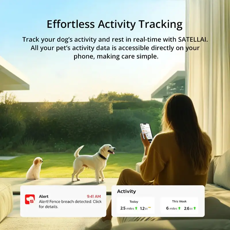 Benefits of Using GPS Tracking Collars