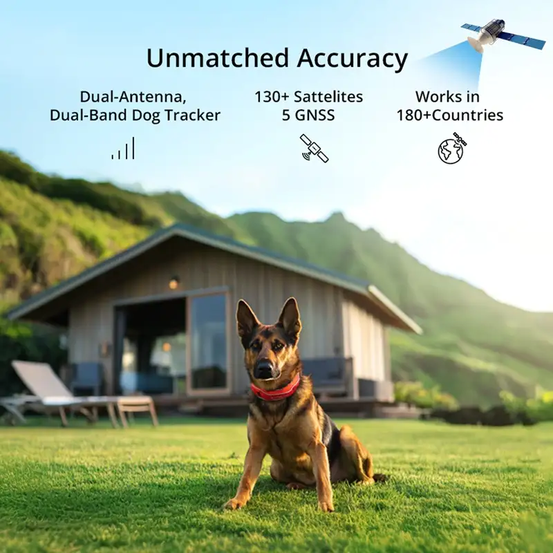 Understanding GPS Tracking Collars