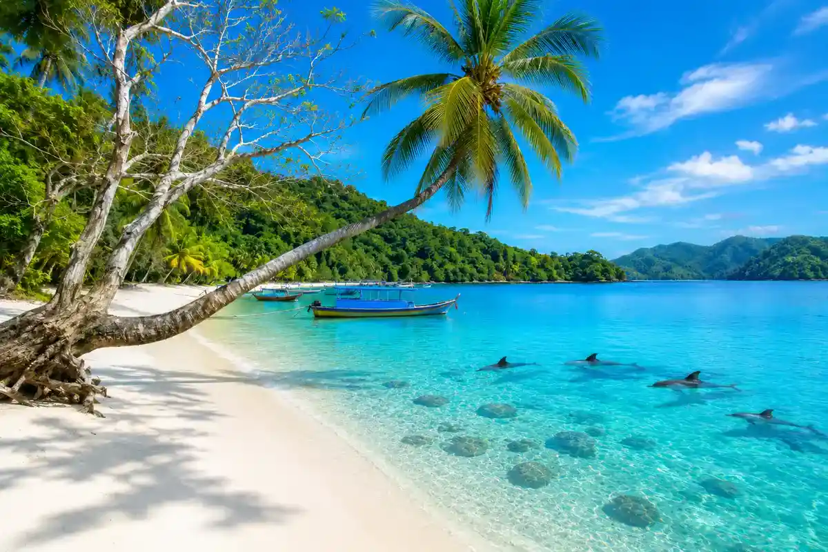 Teluk Kiluan Lampung